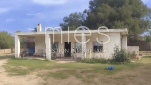 INTELIGENCIA ARTIFICIAL MIES INMOBILIARIA