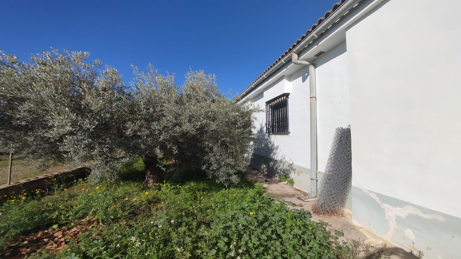 chalet en Torrent, venta chalet Torrent, villa con piscina Torrent, chalet con garaje Torrent, casa con parcela grande Torrent, chalet en Partida Casa Blanca, chalet con piscina Valencia, MIES Inmobiliaria, propiedad en Torrent, casa en Montserrat