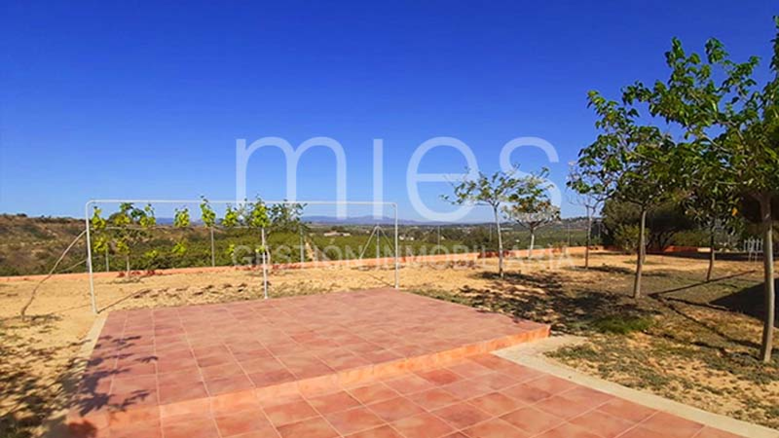 EN TORRENTE INMOBILIARIA MIES VENDE
