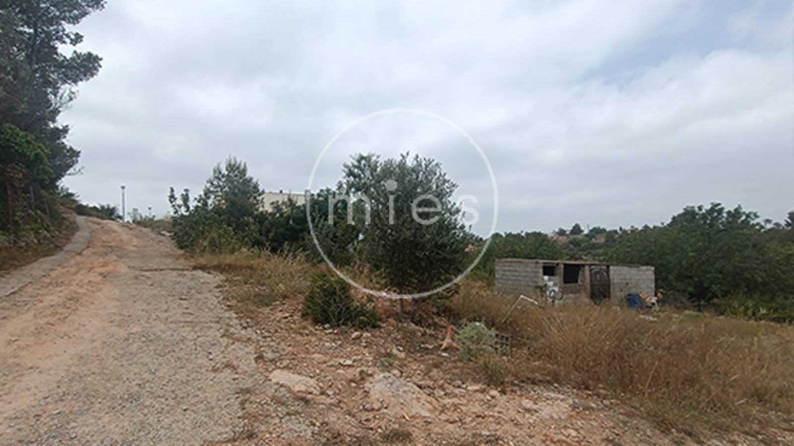 mies inmobiliaria torrent chiva