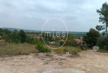 mies inmobiliaria torrent chiva