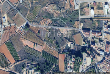 terreno rústico Montroy, terreno de secano Montroy, finca rústica Montroy, terreno en venta Montroy, parcela rústica Valencia, terreno agrícola Montroy, finca de secano Valencia, terreno La Pina Montroy, parcela rústica 5649 m², inversión suelo rústico Valencia, comprar terreno Montroy, Mies Inmobiliaria, finca rústica en venta Valencia, terreno para cultivo Montroy, parcela agrícola Valencia.